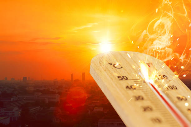 Heatwave Heatwave