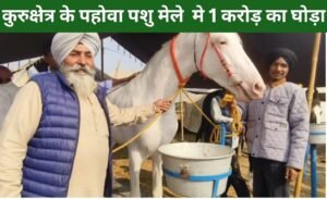 हरियाणा के पहोवा पशु मेले में 1 करोड़ का नुकरा नस्ल का घोड़ा प्रताप रूप