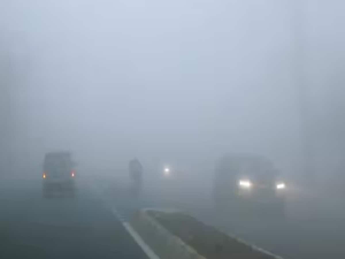 UP Cold Wave and Dense Fog Affects Life in 30 Districts